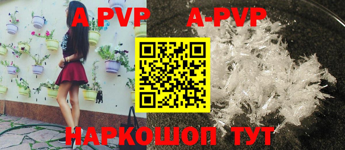 A PVP крисы CK Гай