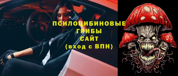 прущий лед Костерёво
