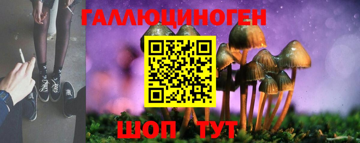 Гай  Галлюциногенные грибы мухоморы  Псилоцибиновые грибы ЛСД  Вход с VPN 